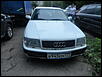 DSC05118.jpg