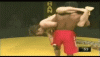 46023dd03a2d.gif