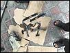 A8386D27-1BFD-4BF1-9948-8729A0003426.jpg