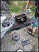 IMG_20200809_193531.jpg