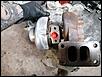 IMG_20210311_162951.jpg