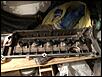 E67A73B0-A430-403D-A0B6-AF59CEEF68AD.jpg