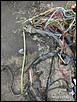 EFDD8A86-8BDE-46E4-BC84-2195E34949AB.jpg