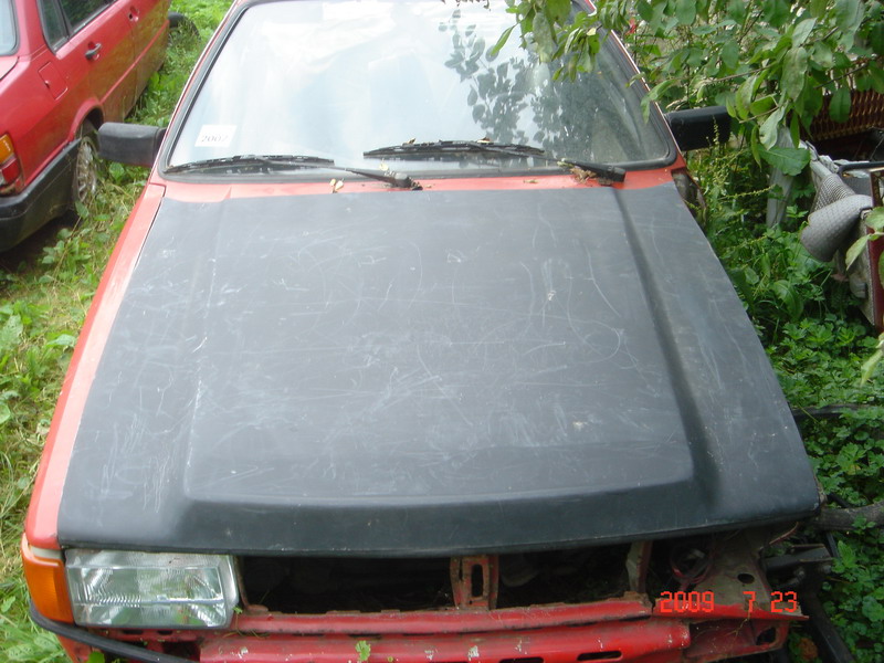 DSC05170s.jpg