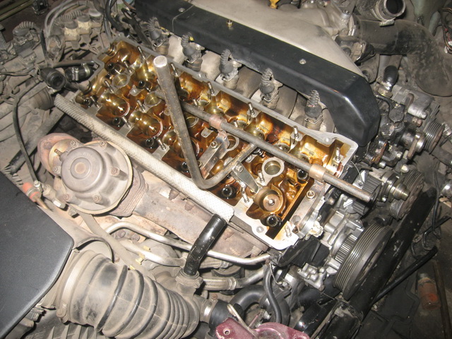 IMG1555.jpg