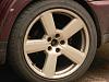 DSCN3385.JPG